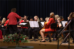 Orchester+der+Landesmusikschule+Eferding